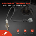 2X O2 Oxygen Sensors for Honda Accord (1998–1999)