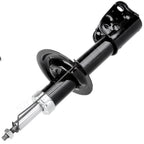 Front Pair Struts & Gas Shocks for Chevrolet GMC Saturn Pontiac Suzuki