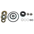 Lower Gearcase Seal Kit with Drain Screws for Johnson Evinrude 9.9 15 HP (396350)