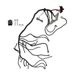 Standalone Wiring Harness for Chevrolet LS Vortec 4L80E (2003–2007)