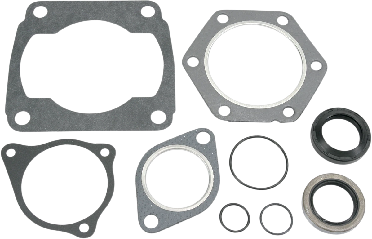 Motor Gasket Kit with Oil Seal for Polaris (811806mse)