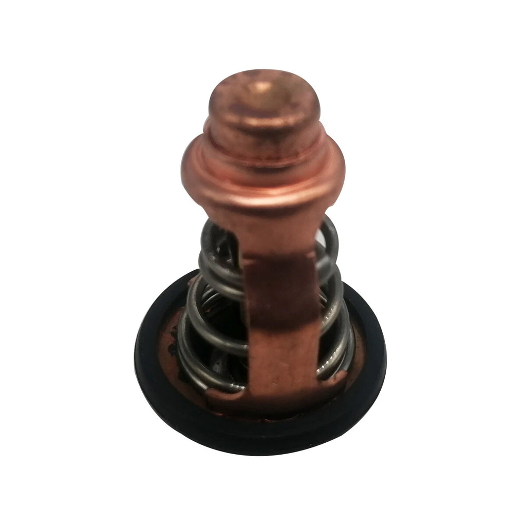 Thermostat for Yamaha F100D Outboard Motor (6D9-12411-00, 6D9-12411)