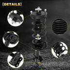 Set of 2 Rear Complete Struts with Springs for Mazda Protege