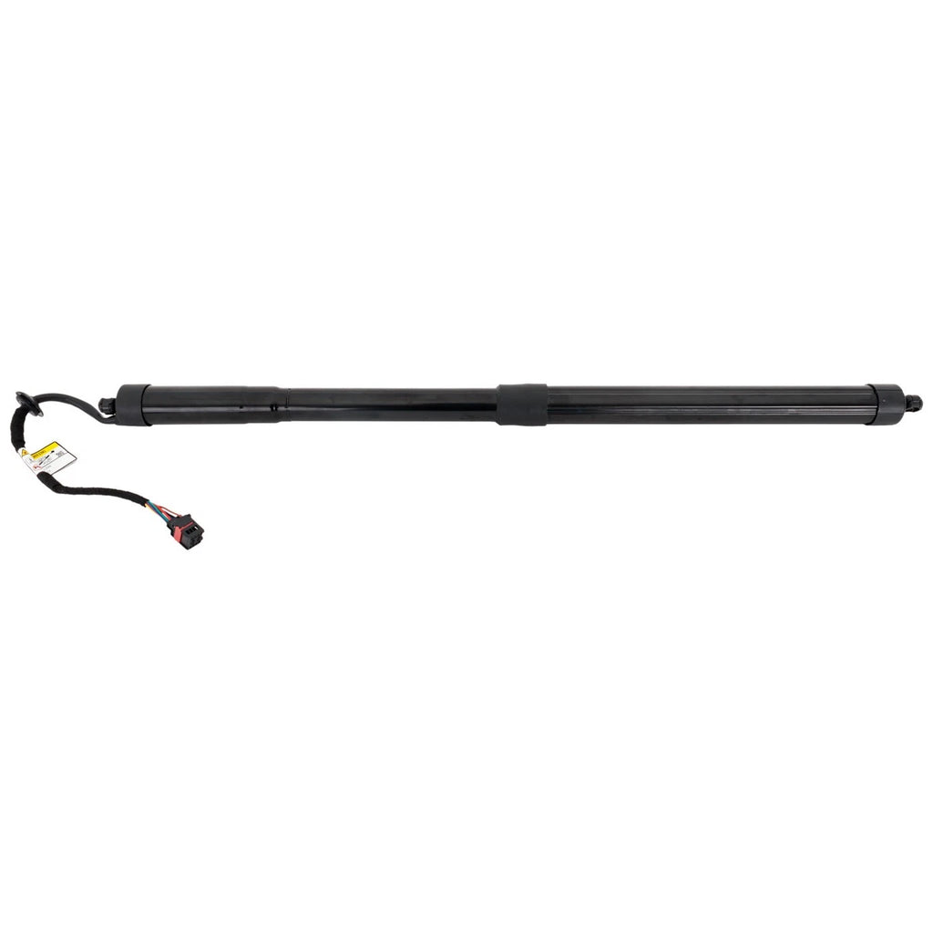 Liftgate Lift Supports for Range Rover (2013–2020)