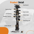 Front Struts w/ Coil Spring for Ford Mustang (2011–2014) 172540