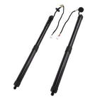2X Rear Tailgate Gas Struts for Lexus NX300 NX300h (2018–2021)
