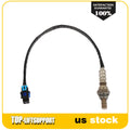 Oxygen Sensor for Can-Am