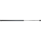 Lift Support for Cadillac CTS (2003–2007) Hood Driver or Passenger Side