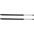 Liftgate Lift Support Set of 2 for Honda Odyssey (2005–2007)