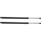 Liftgate Lift Support Set of 2 for Honda Odyssey (2005–2007)