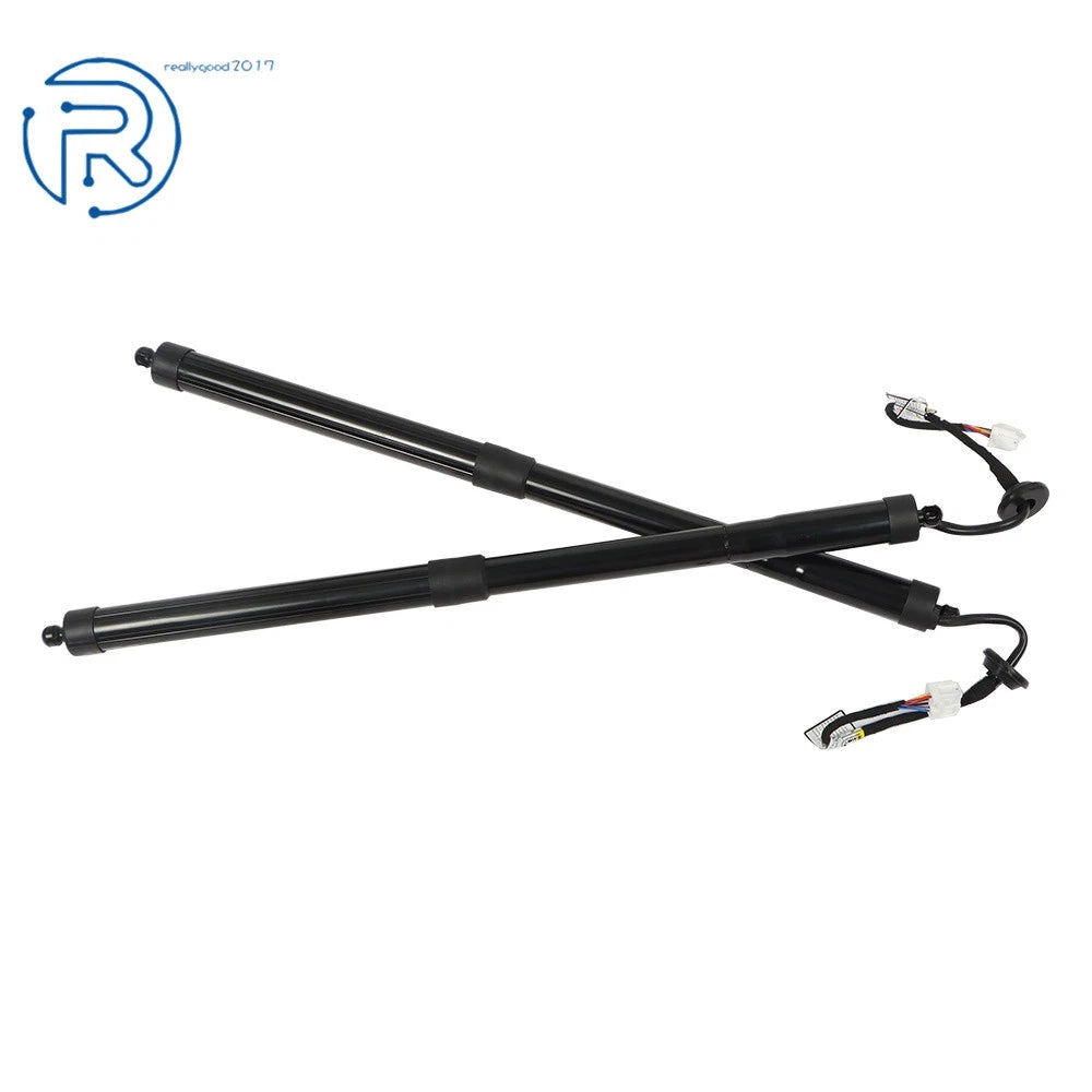 2Pcs Electric Tailgate Struts for Nissan Rogue (2014-2019)