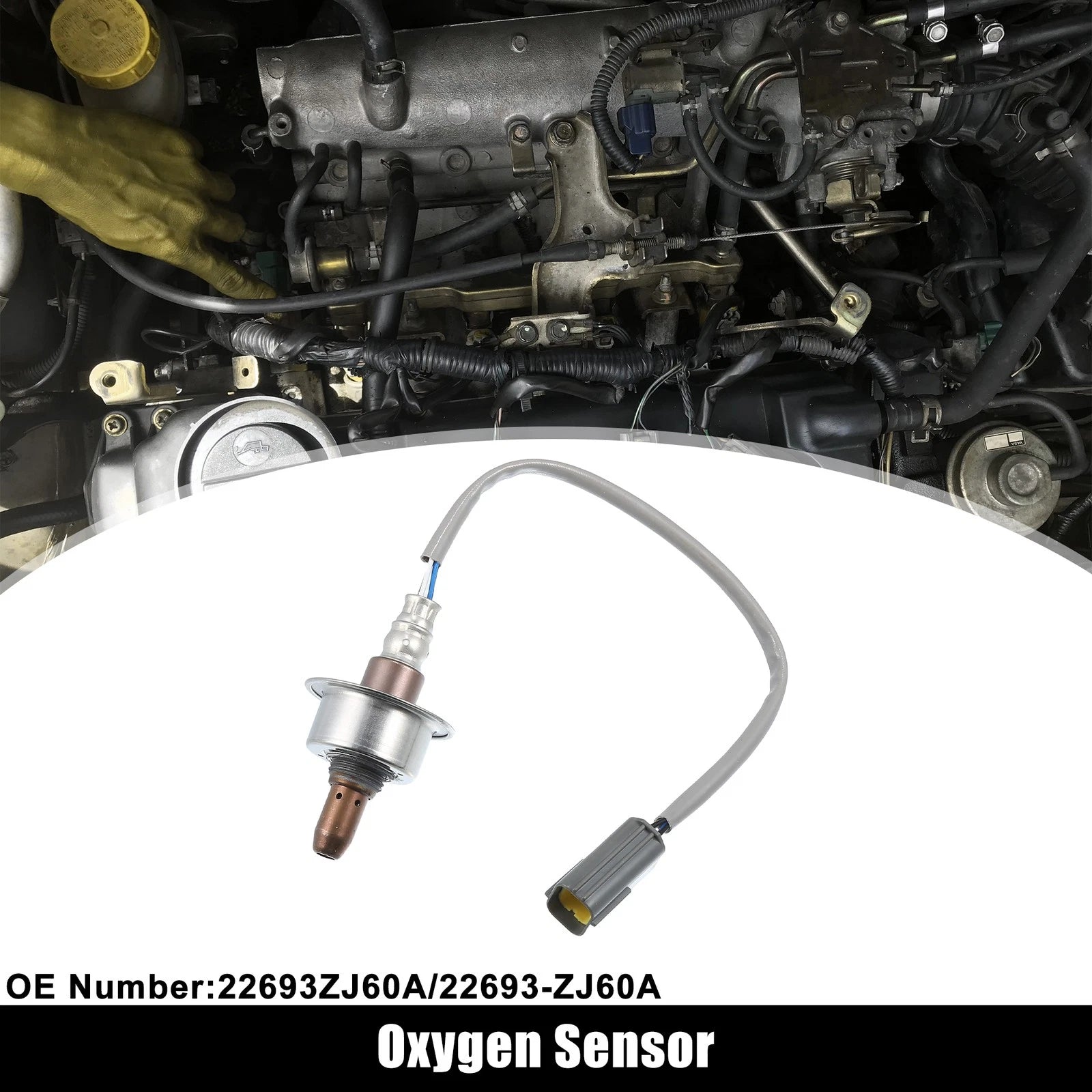 Upstream Oxygen Sensor No.22693ZJ60A for Nissan Cube, Sentra (2011–2014)