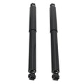 Rear Struts Absorber Assembly for Dodge Ram 1500 4WD (2002–2008) 37207