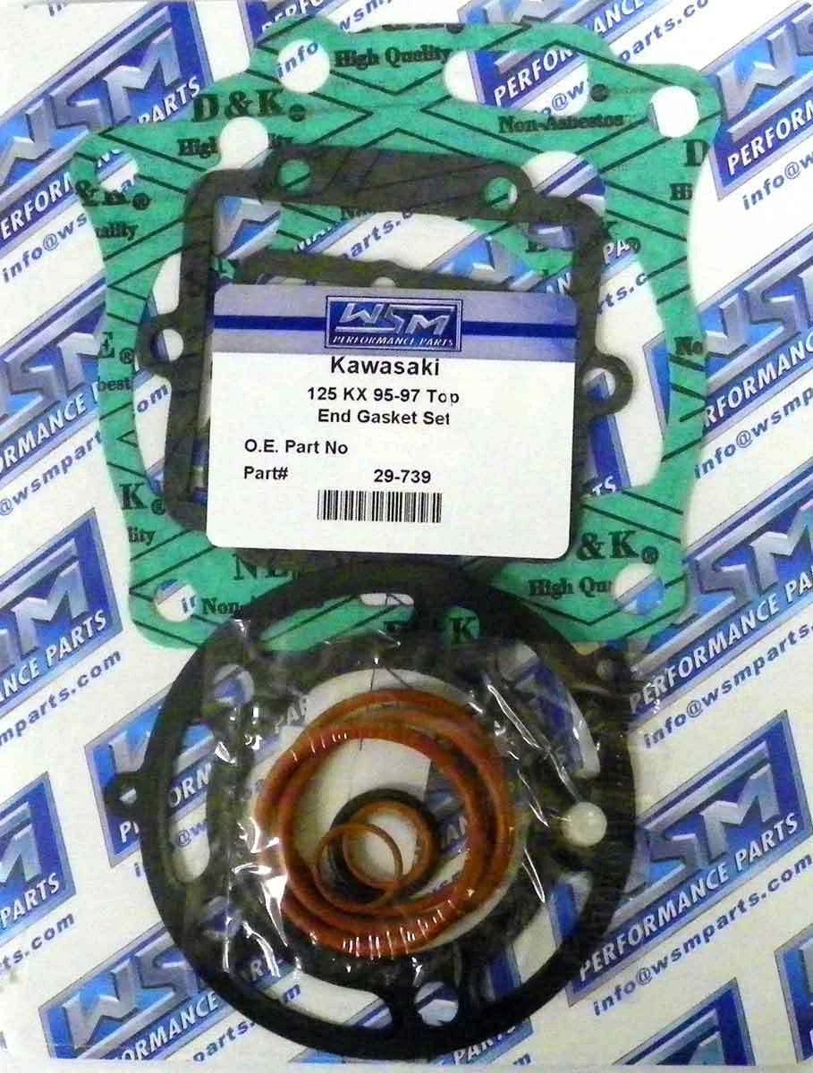 Gasket Kit for WSM