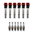 Set of 6 Ignition Coils & Iridium TT Spark Plugs for Audi A4 A6 Quattro (2000–2006)