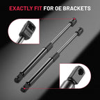 2 Hood Lift Support Struts for Chrysler 300 Dodge Charger (2011-2018)