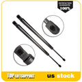 2X Rear Tailgate Lift Support Struts for Ford Expedition (2003–2015)