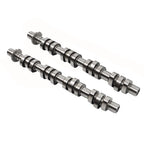 Camshaft Set for Ford F150 F250 Lincoln Mustang Mercury (2005–2014)