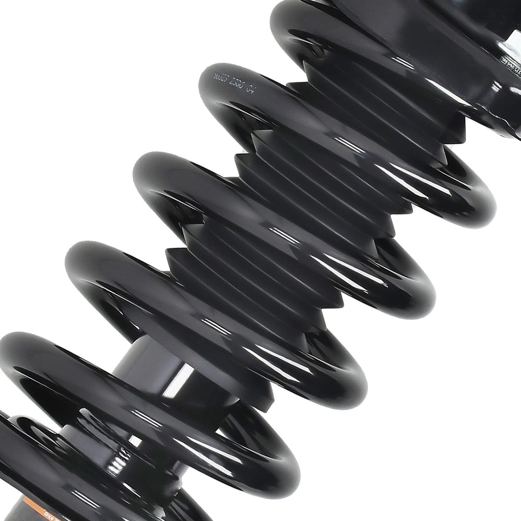 Complete Rear Struts w/Coil Spring for Honda Element (2003-2011)