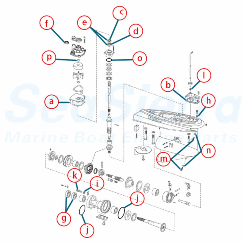 Seal Kit for Johnson Evinrude 150-250 Lower Unit Gearcase (5006373, 439141)