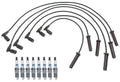 Pro Ignition Wire Set & ACDelco 8 Platinum Spark Plugs for Express 1500 (2003–2023)