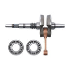 Crankshaft Bearings Rebuild Kit for Honda TRX250 (2001–2007)