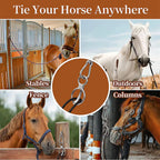Horse Tie Ring with Eye Bolts & Snaps for Horses