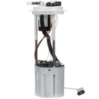 Delphi FG2176 Fuel Pump Module Assembly for Chevrolet Express 1500 (2010–2014)