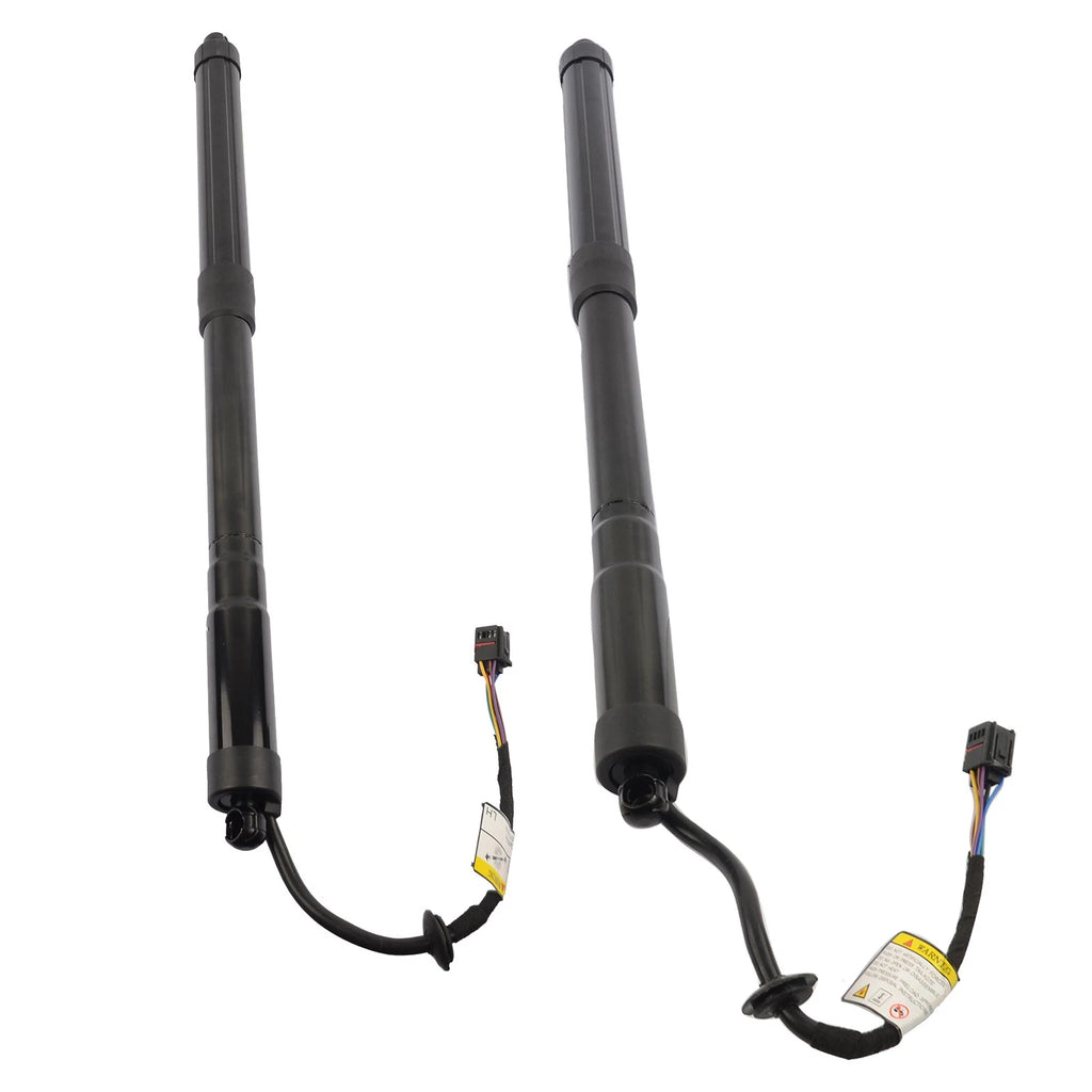 2Pcs Tailgate Lift Support for Hyundai Santa Fe (2013-2019)