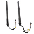 2Pcs Tailgate Lift Support for Hyundai Santa Fe (2013-2019)