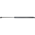 Lift Support for Nissan Quest (2004–2005) Driver or Passenger Side