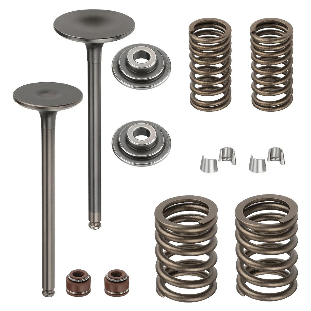 Intake Exhaust Valve Spring Kit for Honda FourTrax 300 TRX300 (1988–2000)