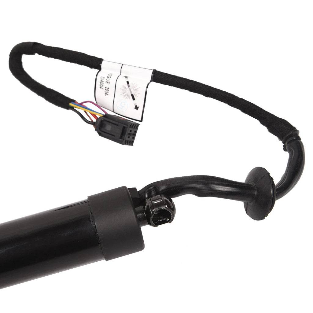 Liftgate Power Shock Strut for Land Rover Range Rover (2013-2022)
