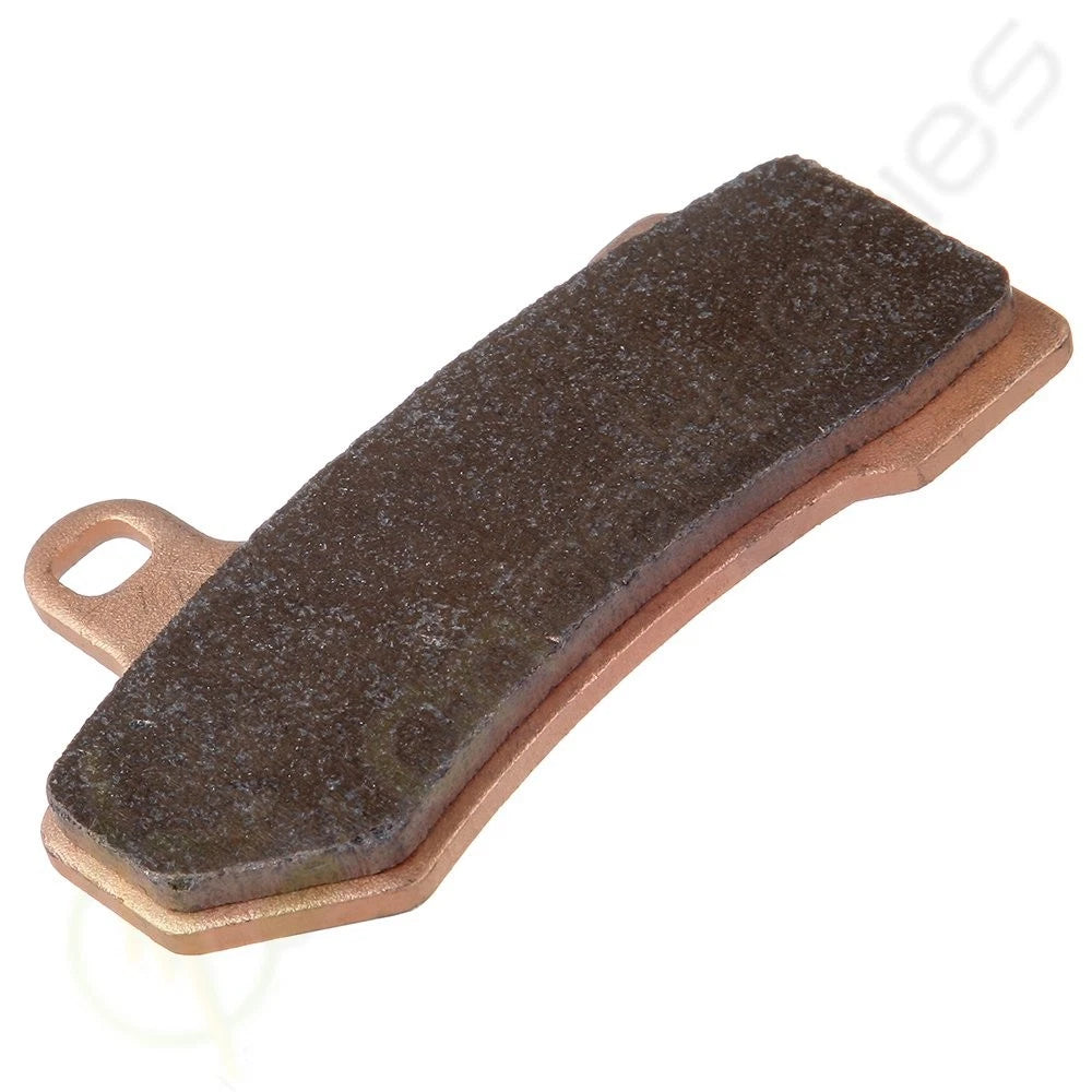 Sintered Rear Brake Pads for Harley-Davidson Classic EFI FLHTCI (2002–2009)