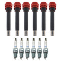 Set of 6 Ignition Coils & NGK Laser Platinum Spark Plugs for Audi A6 Q5 Cayenne