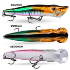 Realistic Fish Body Popper Lure 12cm 19g & 16cm 50g for Bass Fishing