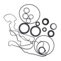 Gear Case Seal Kit for Suzuki DF300B/DF325A/DF350A (2004) #25700-98L02