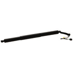 Liftgate Lift Supports for Audi Q5