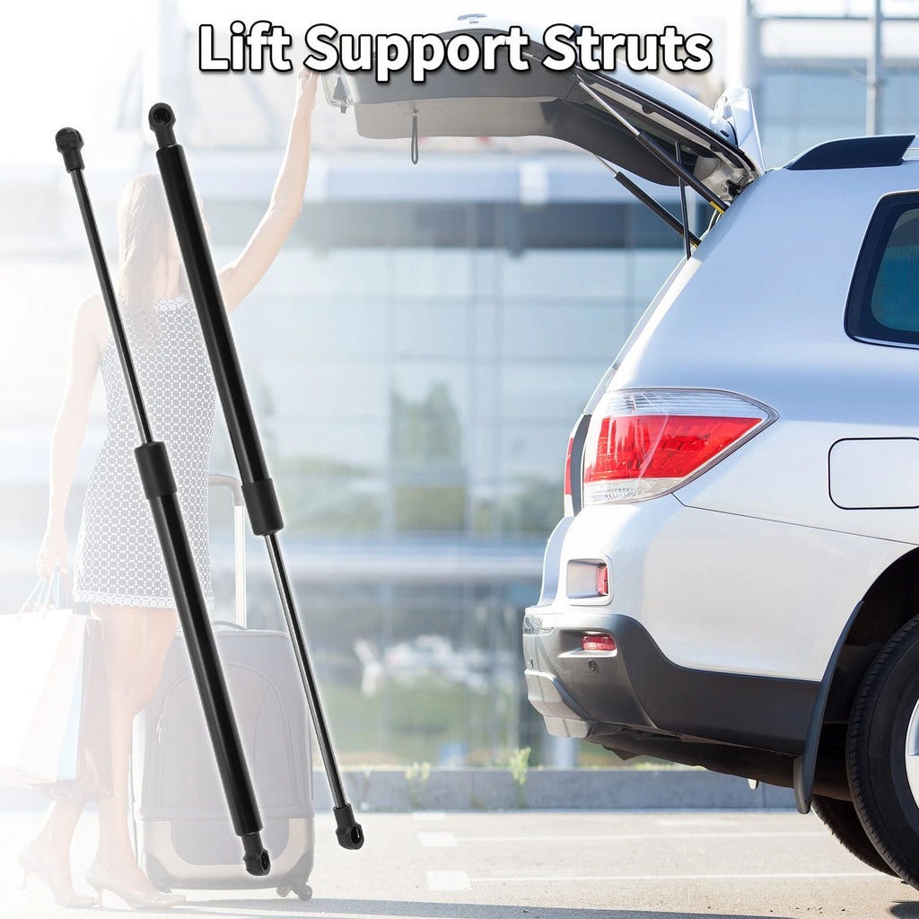 Set of 2 Rear Gate Lift Supports Struts for Toyota Matrix (2009–2014)