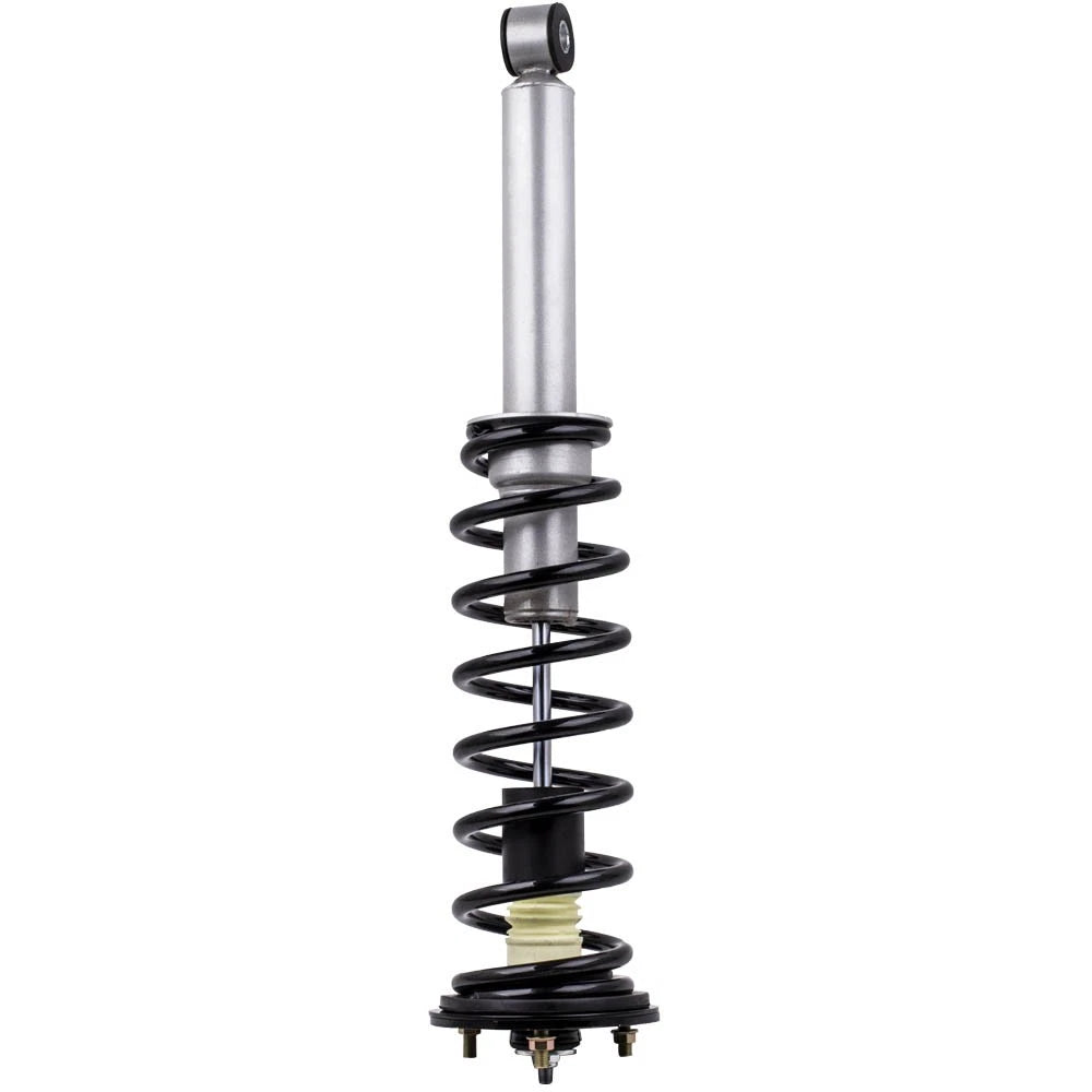 Front Complete Shocks Struts Assembly Pair for Lexus LS430 (2001–2006)