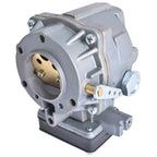Carburetor with Gasket for Briggs & Stratton (Various Models)