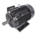 Electric Motor for Three Phase Applications (230/460V)