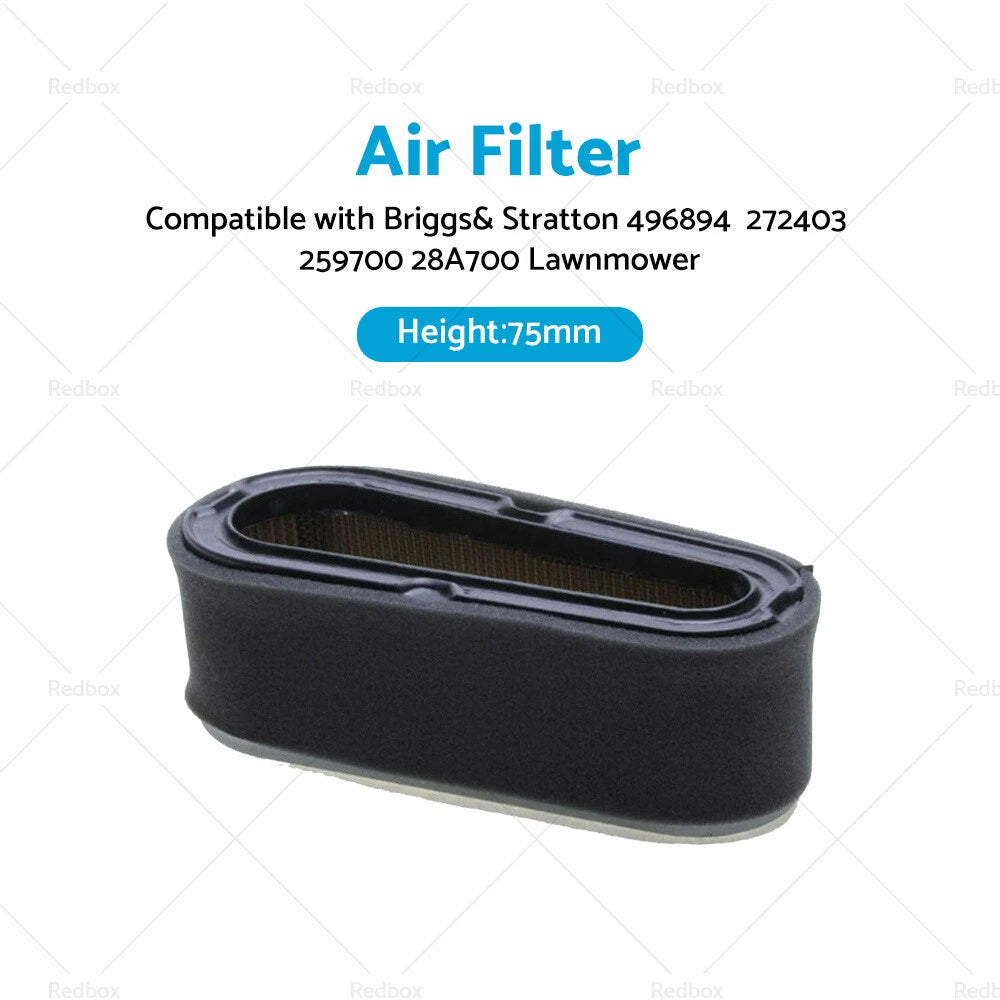Air Filter for Briggs & Stratton 496894, 272403, 259700, 28A700