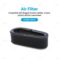 Air Filter for Briggs & Stratton 496894, 272403, 259700, 28A700