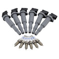 Set of 6 Ignition Coils & 6 Double Platinum Spark Plugs for BMW E90 E83 (2007–2013)