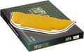 HIFLOFILTRO Air Filter for Kawasaki HFA2905 (OE Replacement)