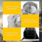 Throttle Body for Cadillac STS (2008–2010)