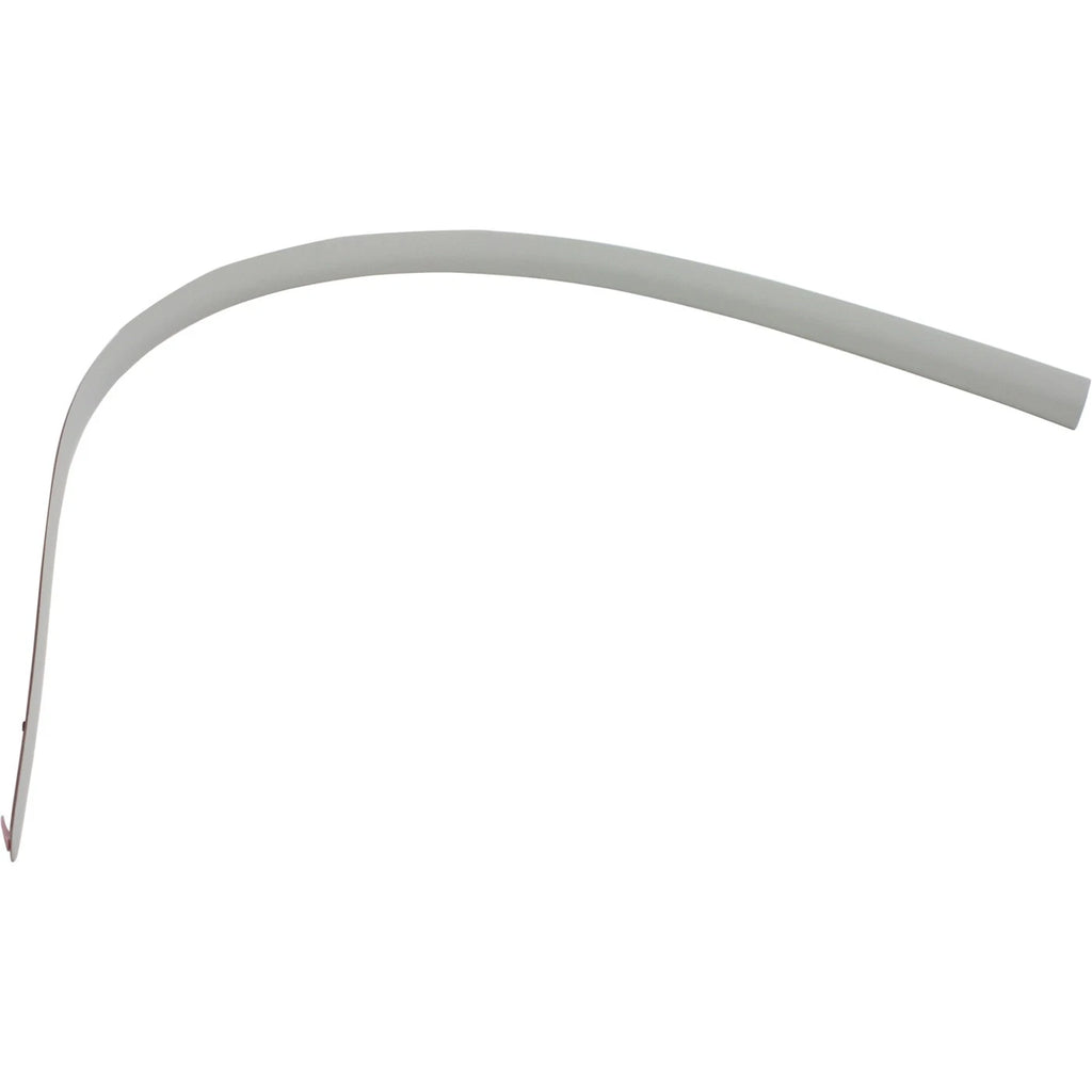 Door Molding for Honda Civic Sedan (2001–2005) Rear Passenger Side