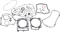 Complete Motor Gasket Kit with Oil Seals for Kawasaki (8110027mse)