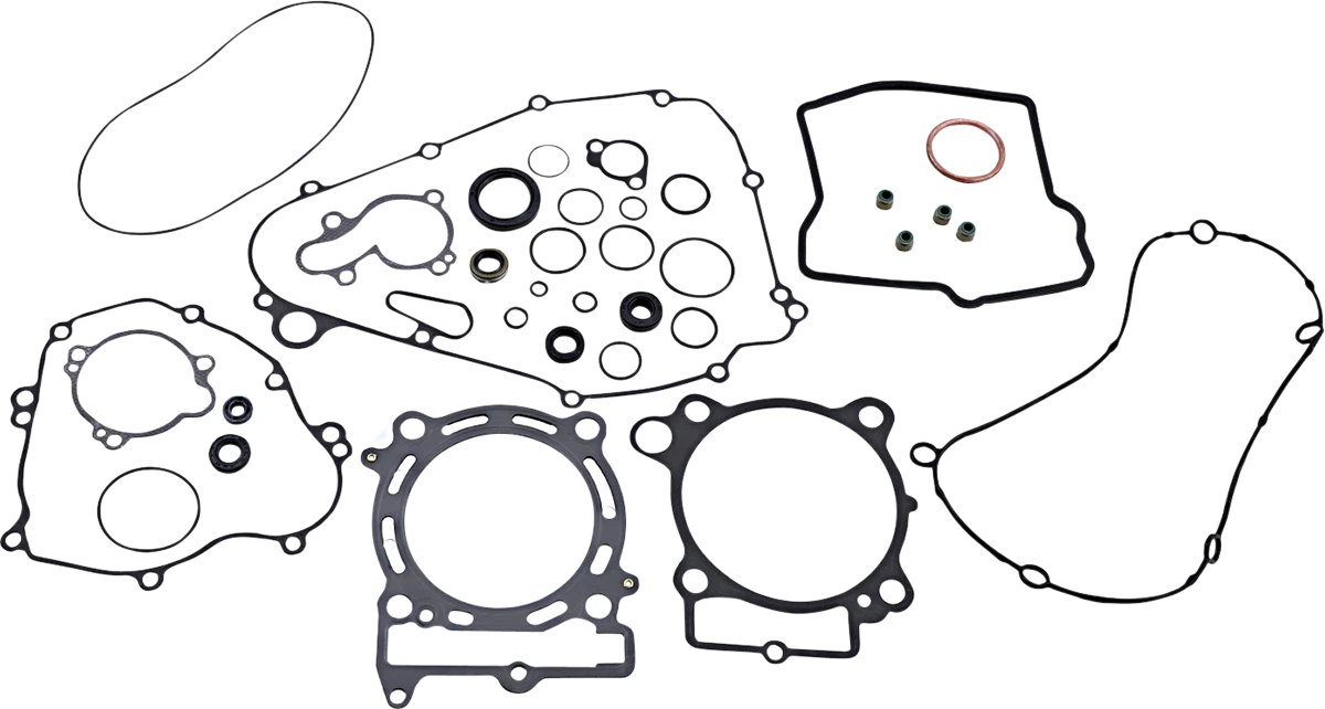 Complete Motor Gasket Kit with Oil Seals for Kawasaki (8110027mse)